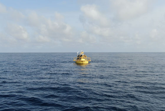 Mammifères marins Chine Bouées de surveillance Observation de la qualité de l'eau